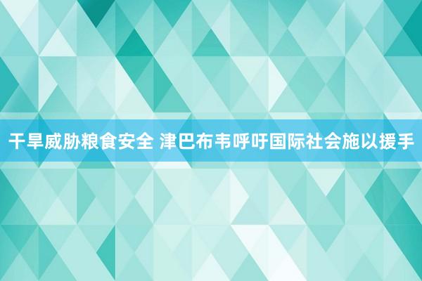 干旱威胁粮食安全 津巴布韦呼吁国际社会施以援手