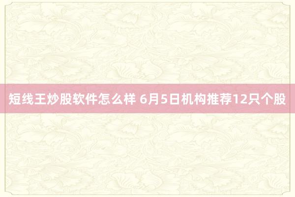 短线王炒股软件怎么样 6月5日机构推荐12只个股