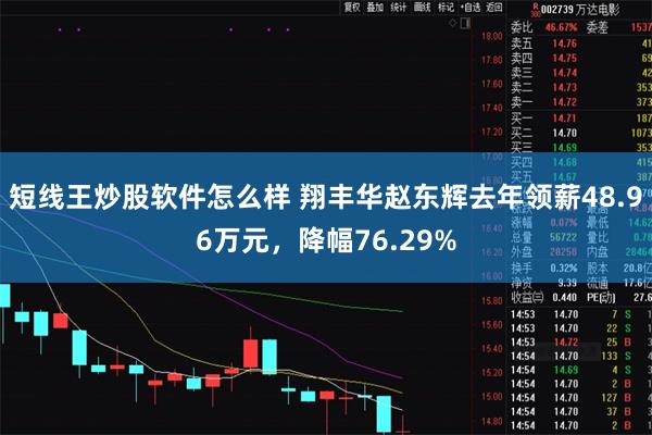 短线王炒股软件怎么样 翔丰华赵东辉去年领薪48.96万元，降幅76.29%