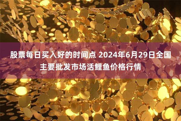 股票每日买入好的时间点 2024年6月29日全国主要批发市场活鲤鱼价格行情