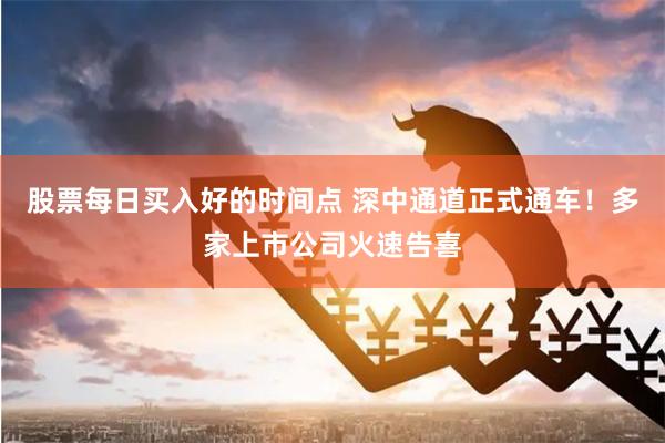 股票每日买入好的时间点 深中通道正式通车！多家上市公司火速告喜