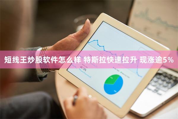 短线王炒股软件怎么样 特斯拉快速拉升 现涨逾5%