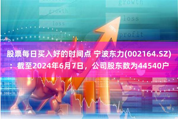 股票每日买入好的时间点 宁波东力(002164.SZ)：截至2024年6月7日，公司股东数为44540户