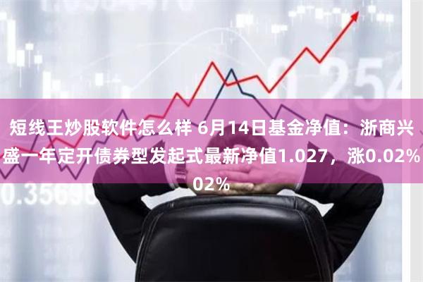 短线王炒股软件怎么样 6月14日基金净值：浙商兴盛一年定开债券型发起式最新净值1.027，涨0.02%