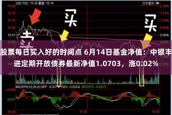 股票每日买入好的时间点 6月14日基金净值：中银丰进定期开放债券最新净值1.0703，涨0.02%