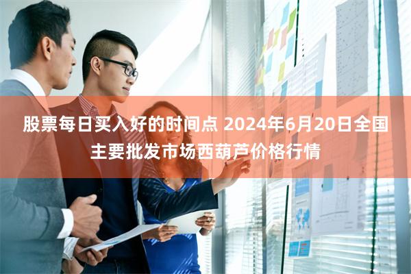 股票每日买入好的时间点 2024年6月20日全国主要批发市场西葫芦价格行情