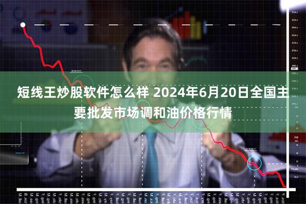 短线王炒股软件怎么样 2024年6月20日全国主要批发市场调和油价格行情