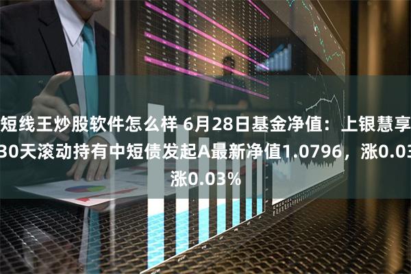 短线王炒股软件怎么样 6月28日基金净值：上银慧享利30天滚动持有中短债发起A最新净值1.0796，涨0.03%