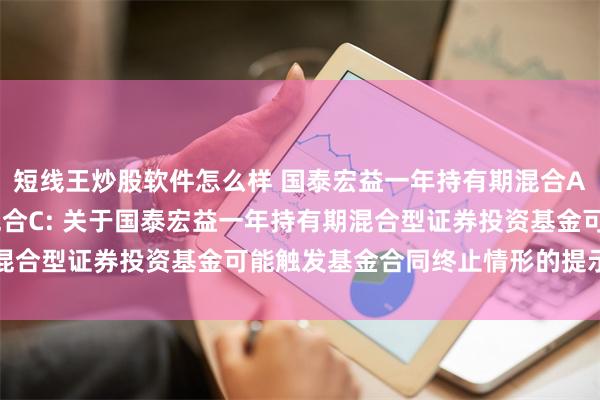 短线王炒股软件怎么样 国泰宏益一年持有期混合A,国泰宏益一年持有期混合C: 关于国泰宏益一年持有期混合型证券投资基金可能触发基金合同终止情形的提示性公告